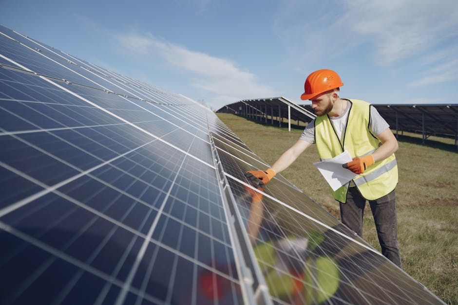Hoe plaats je vogelschroot rond zonnepanelen effectief?